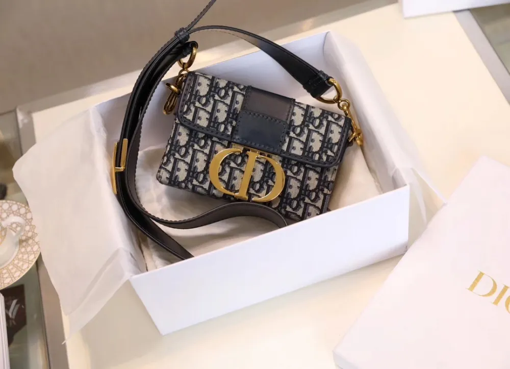 디올 30 몽테인백 오블리크 미니