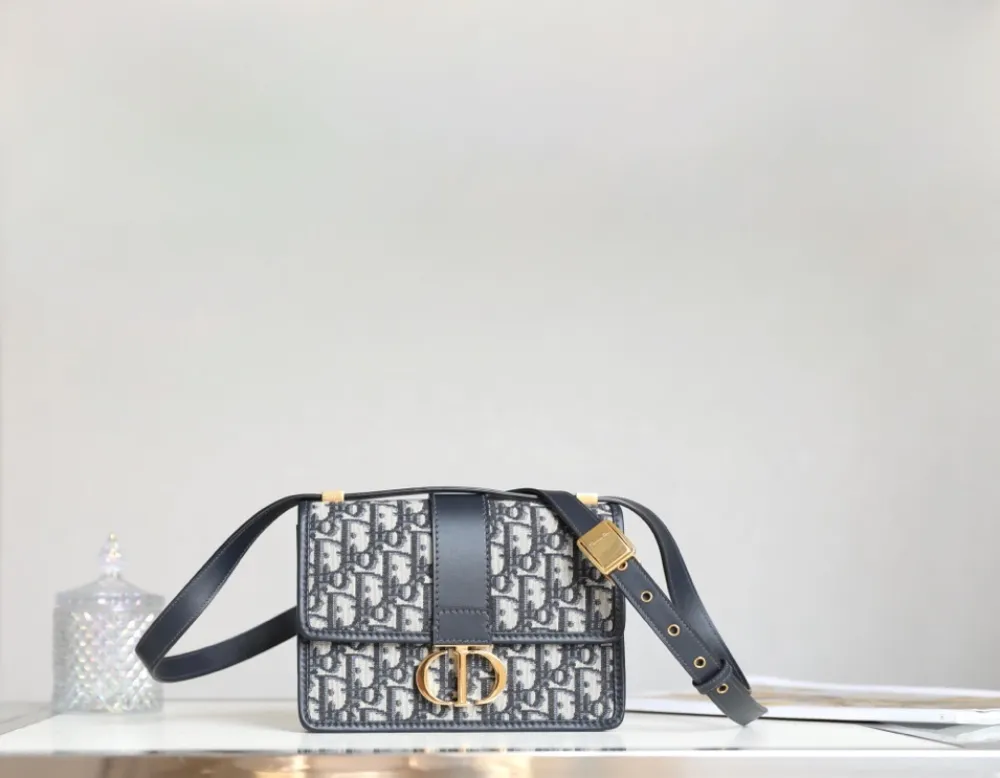 디올 30 몽테인백 오블리크 스몰