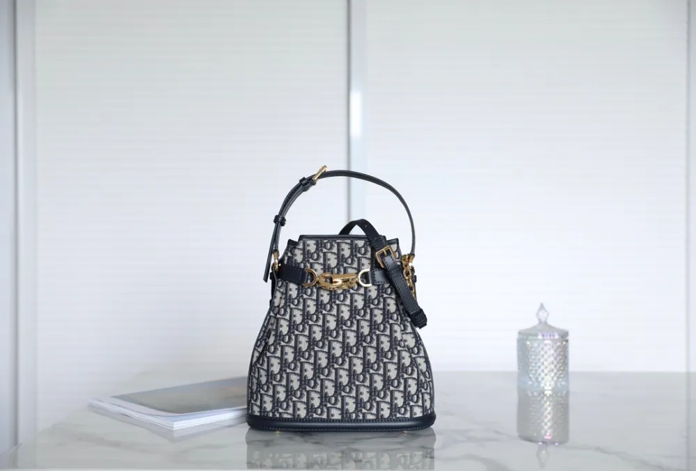 디올 쎄디올백 오블리크 미디엄(C'est백)