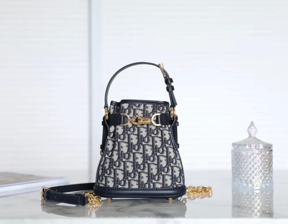 디올 쎄디올백 오블리크 스몰(C'est백)