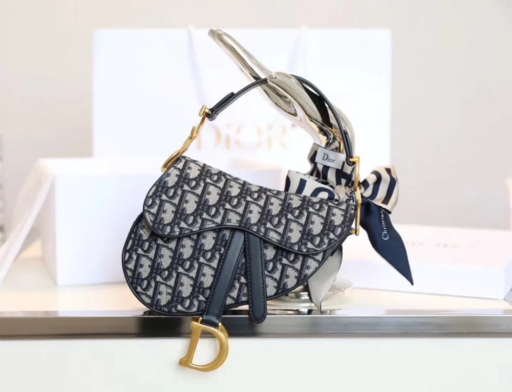 디올 새들백 오블리크 미니