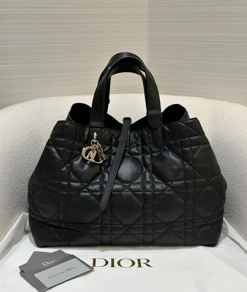 디올 뚜주흐백 라지