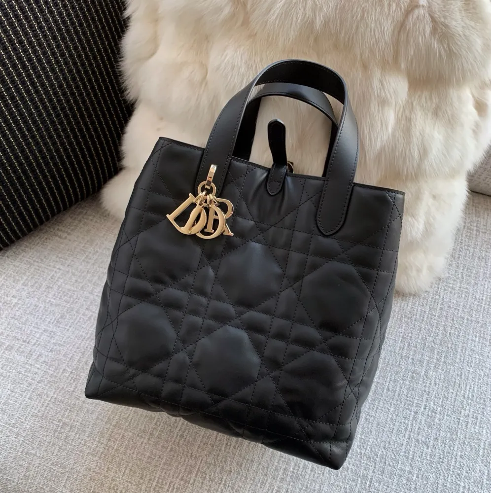KakaoTalk_20260127_011038232_07 디올 뚜주흐 버티컬 토트백 미디엄