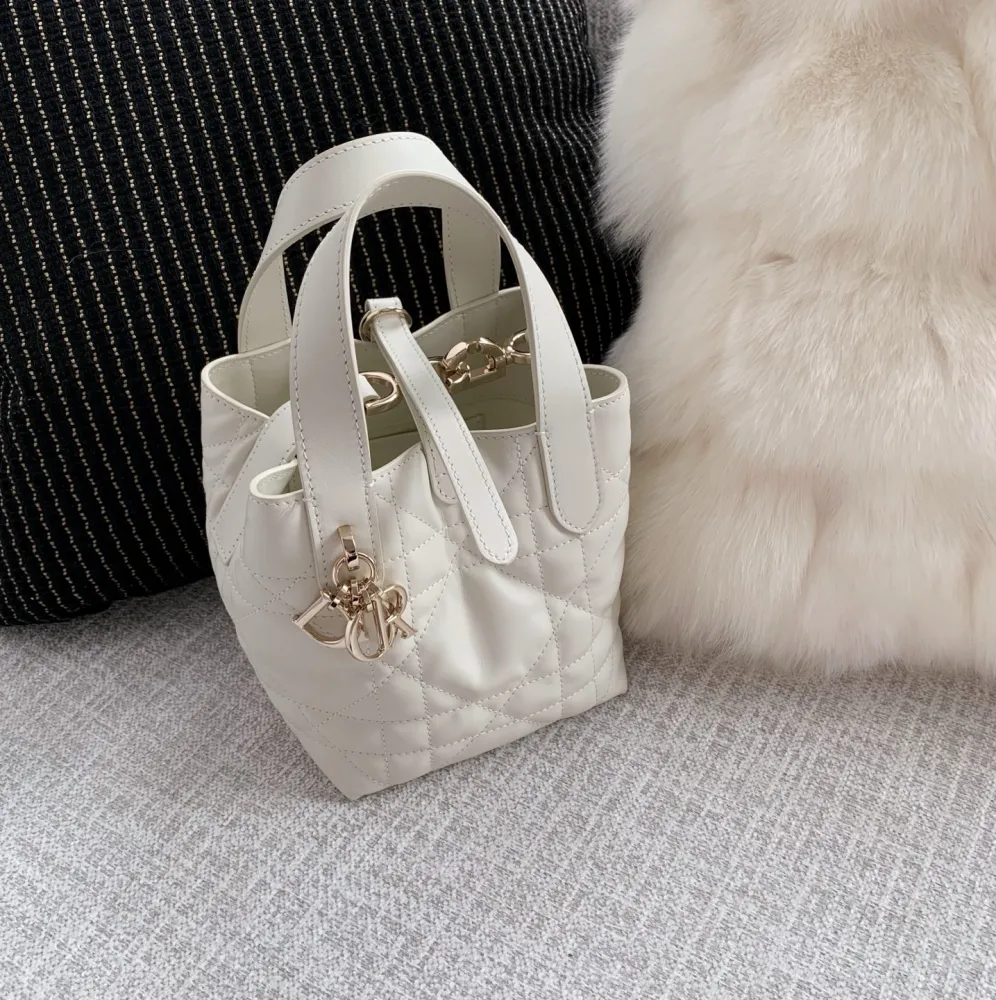 디올 뚜주흐 버티컬 토트백 미니