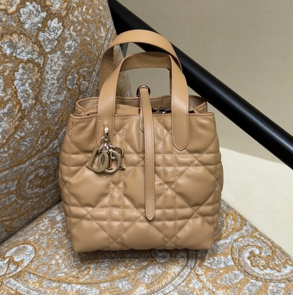 KakaoTalk_20260127_013111291 디올 뚜주흐백 버티컬 토트백 스몰