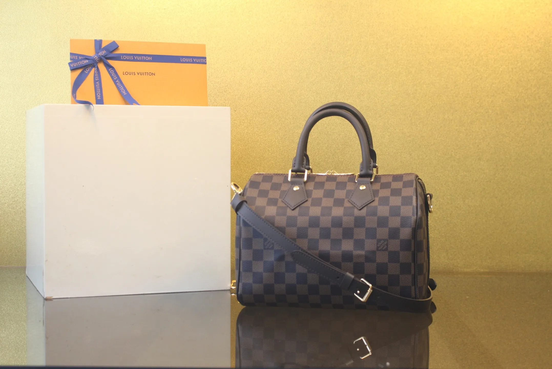 KakaoTalk_20260227_223420206 루이비통 스피디 반둘리에 25 다미에(N40575)