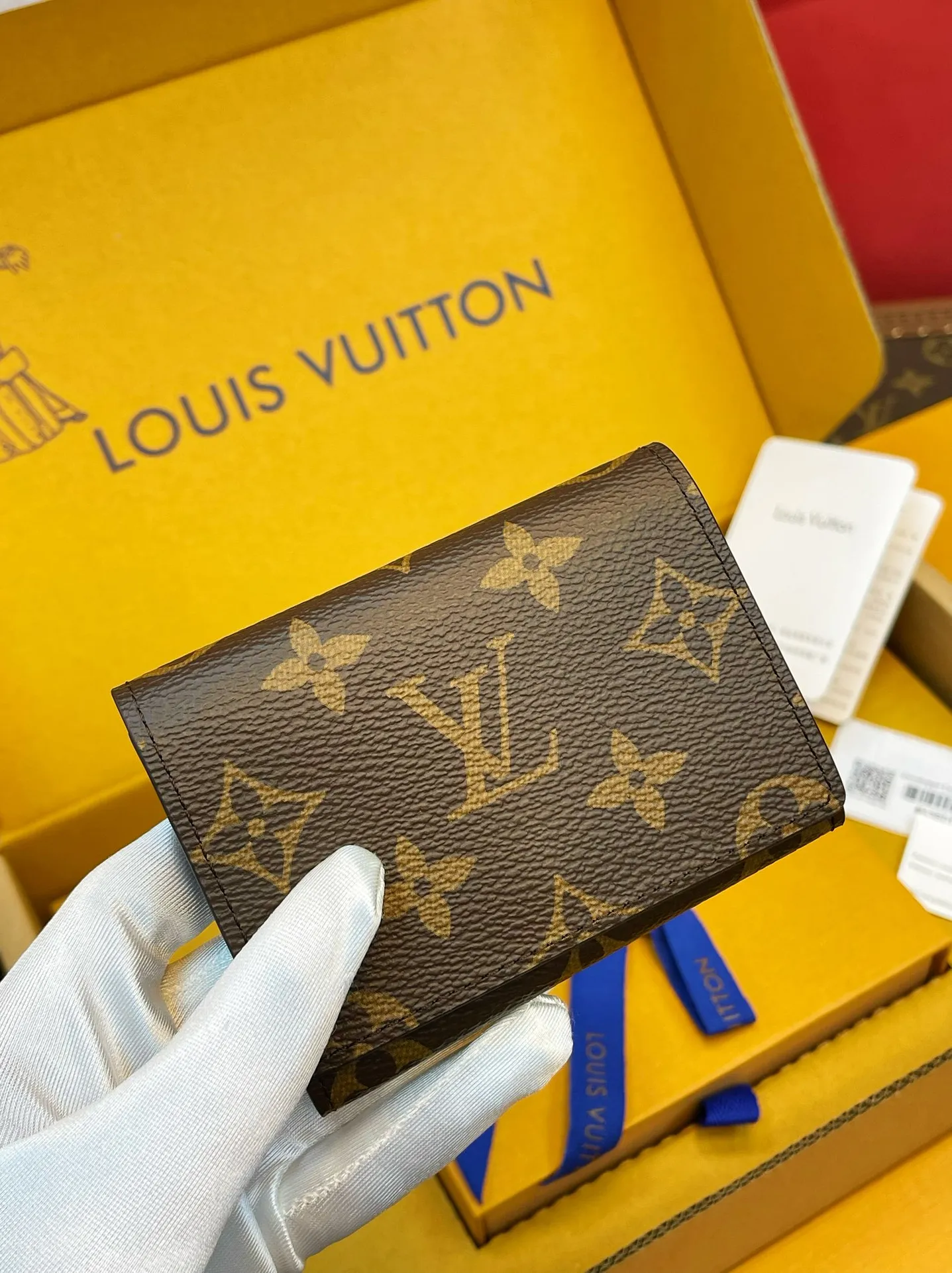 루이비통 엔벨로프 카르트 드 비지트(M63801)