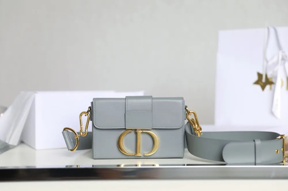 디올 30 몽테인백 미니