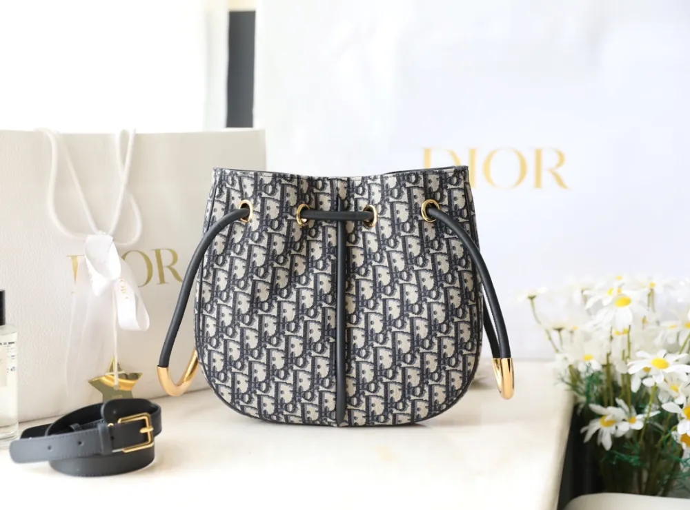 디올 노리타 오블리크 미디엄